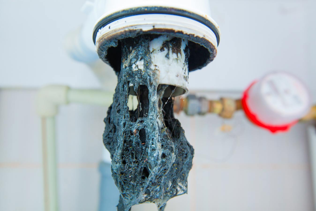 Clogged Drains